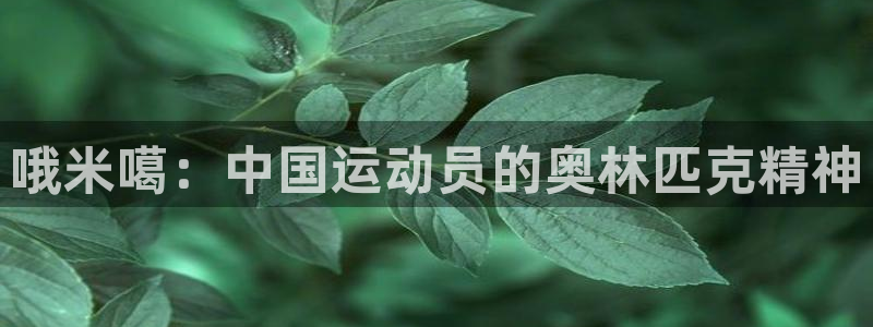 意昂4体育官网