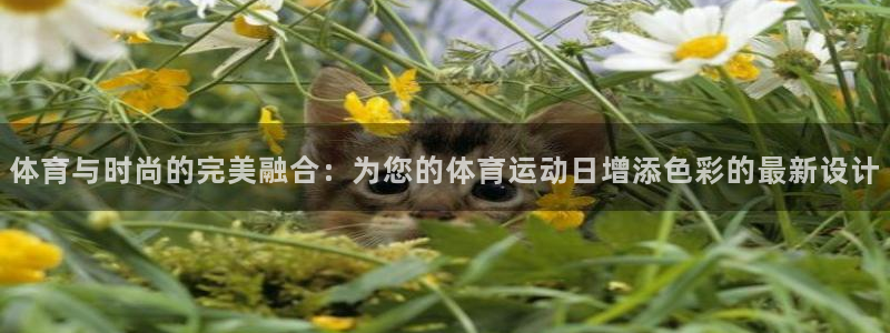 意昂4平台开户链接