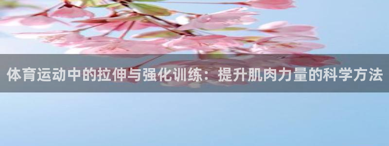 意昂4招商