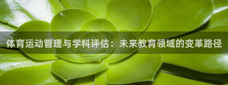 意昂4体育平台注册