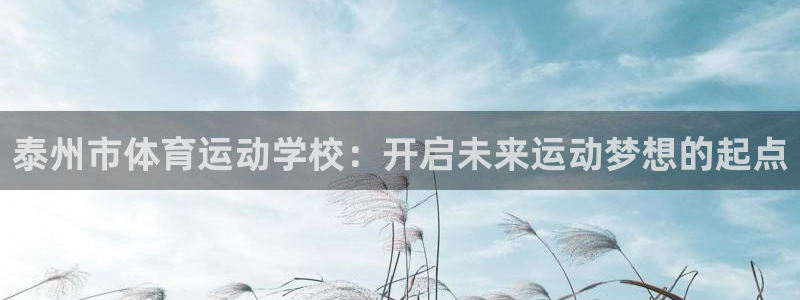 德国意昂4集团