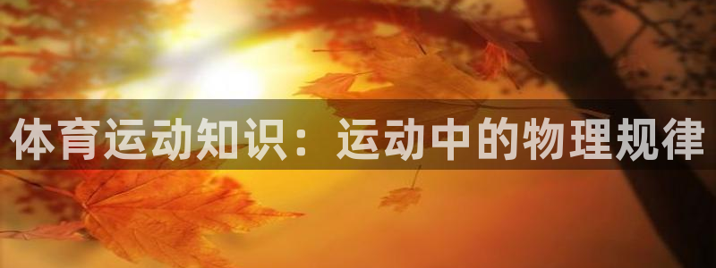 意昂4招商