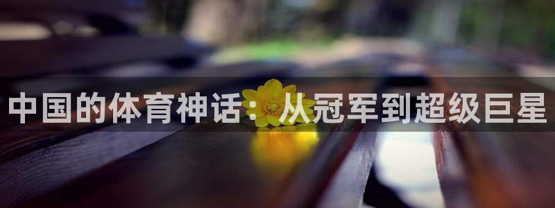 意昂4电子有限公司