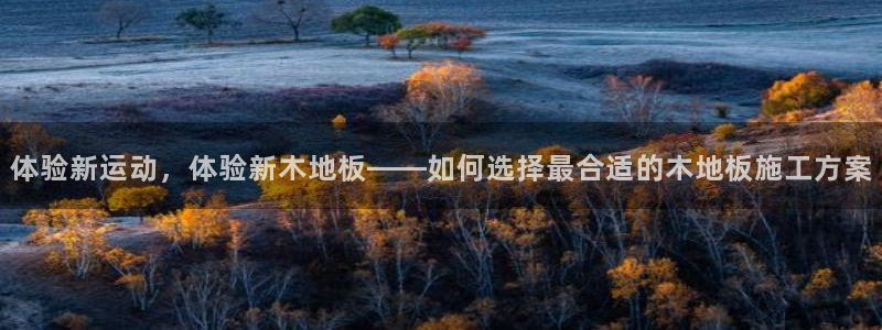 意昂4是大平台吗