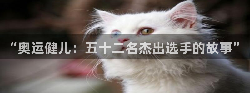 意昂43