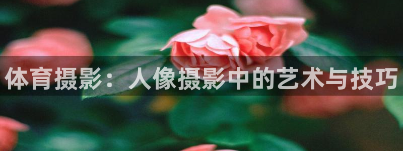意昂4电子有限公司