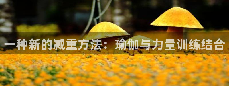 意昂43注册