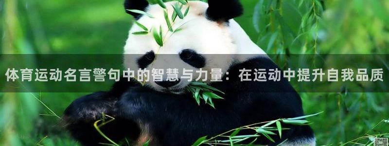 意昂4体育游戏